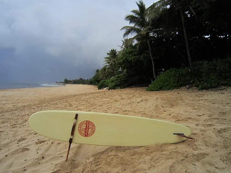 I Booked a Flight to Honolulu Using Nothing But My TDU Memory